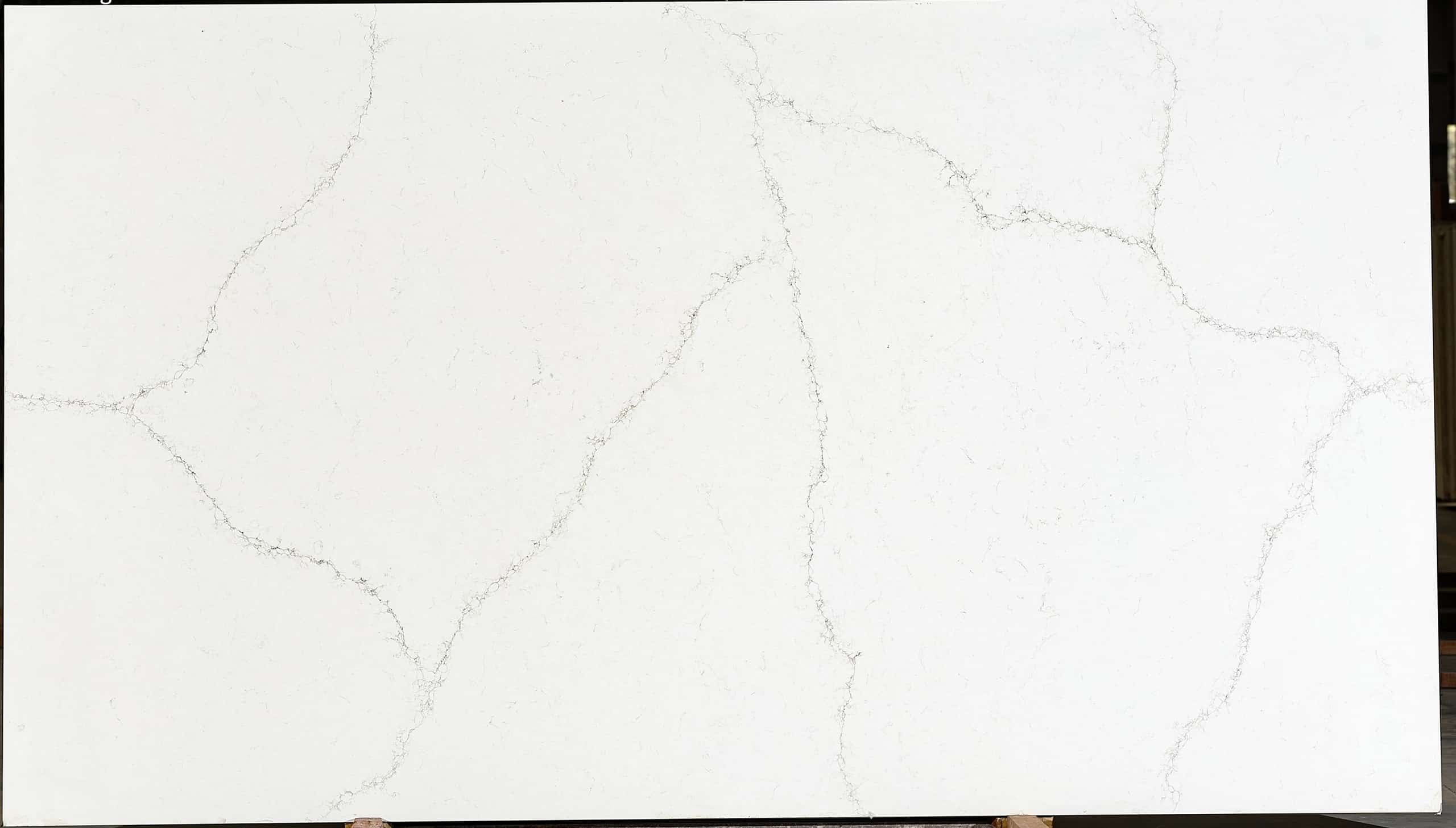 AcarAStone Calacatta Enigma slab at Aracruz RE