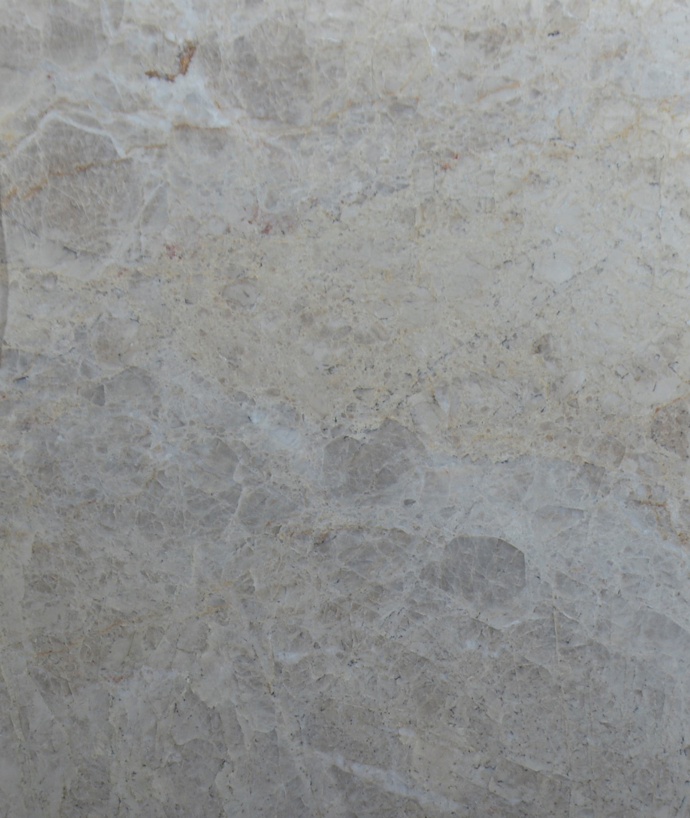 Elegance Quartzite 2cm · Polished slab, full view