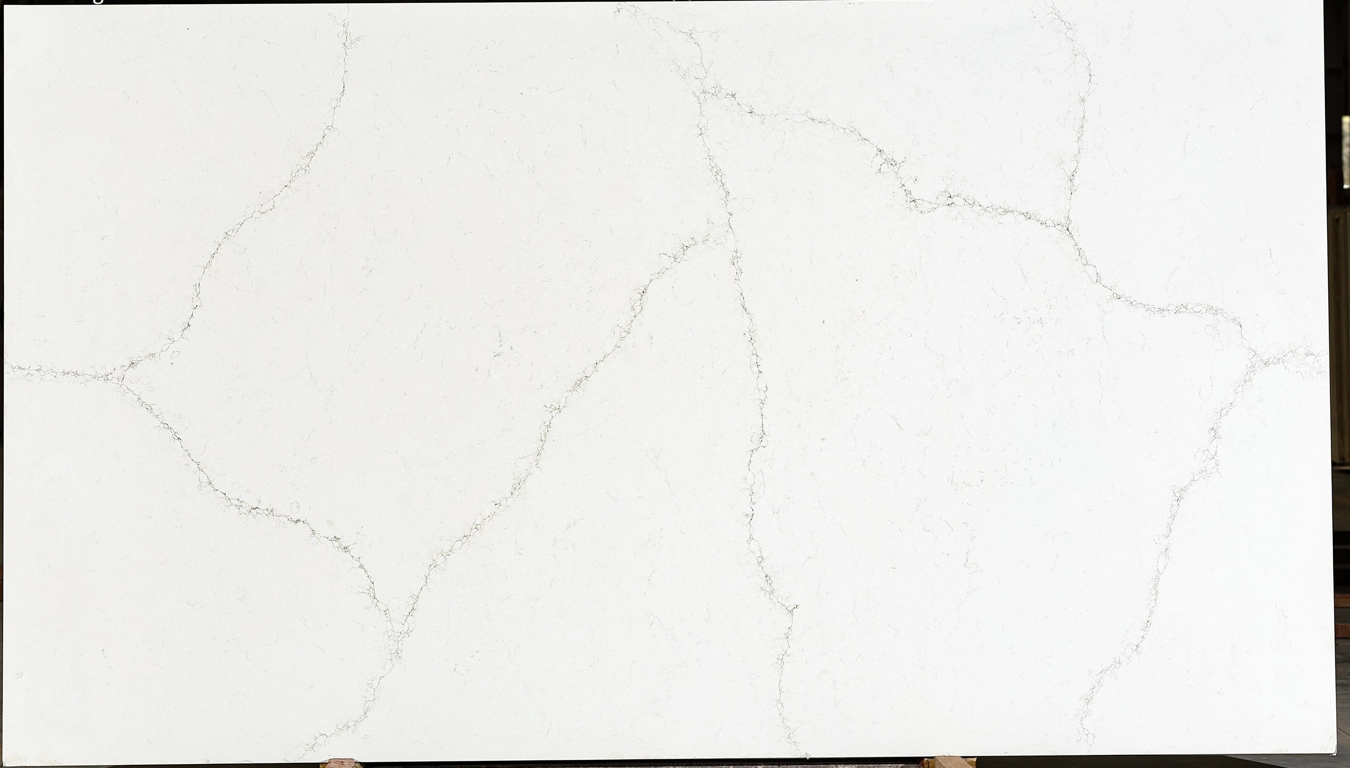 AcarAStone Calacatta Enigma 2cm · Polished · 127" × 63" slab, full view