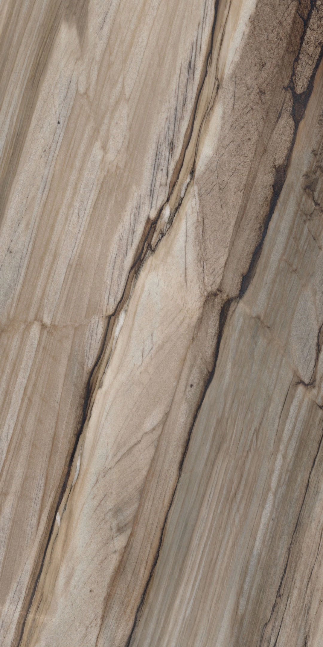 FLORIM Sequoia Silk 1.2cm · Honed · 127" × 63" slab, full view