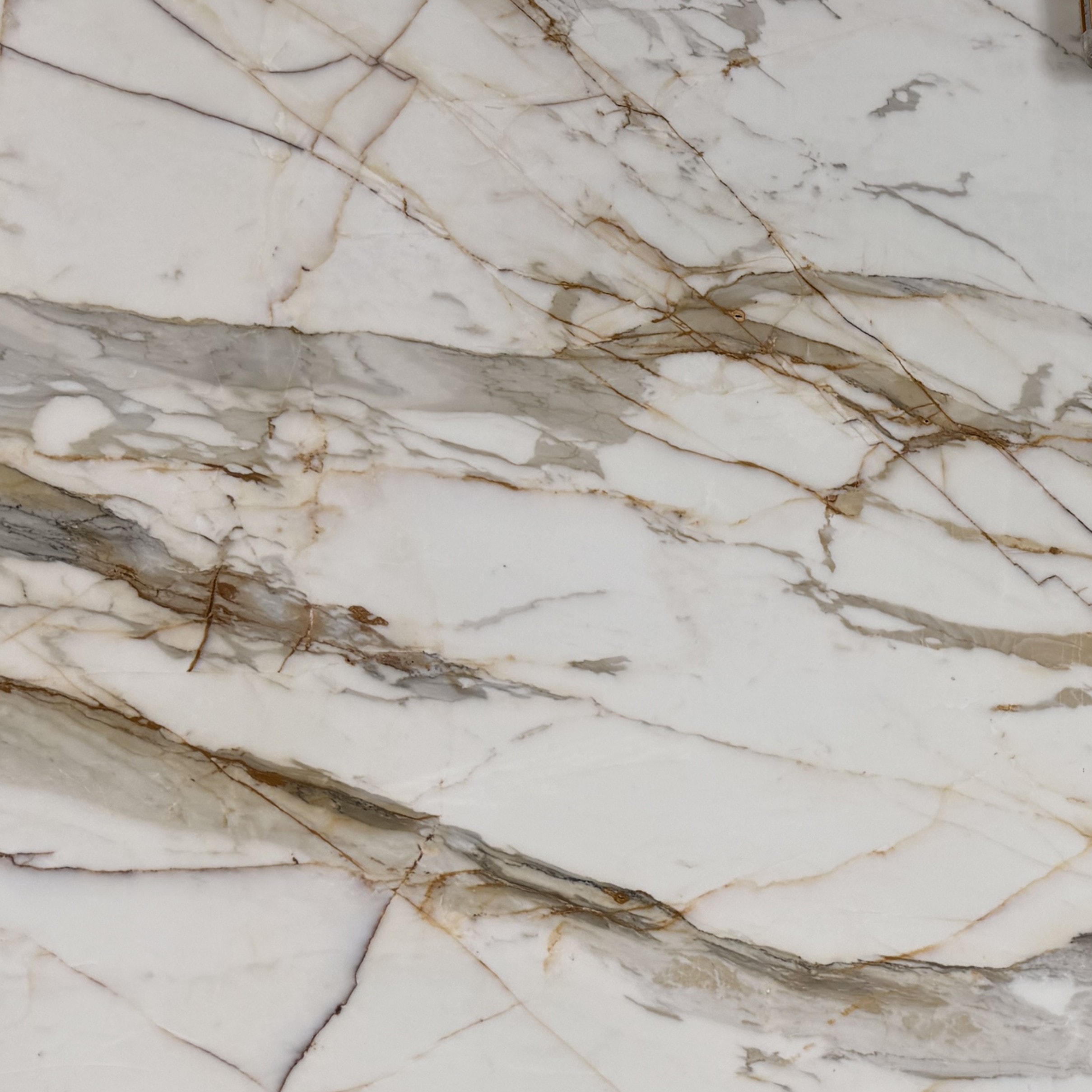 Macchia Vecchia Borghini 2cm · Polished slab, full view