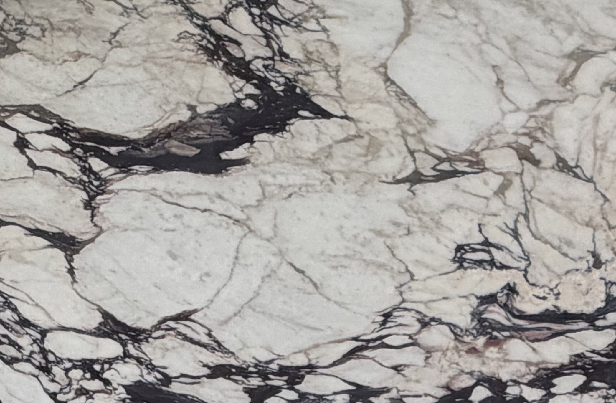 Calacatta Viola Extra Honed 2cm · Honed slab, full view