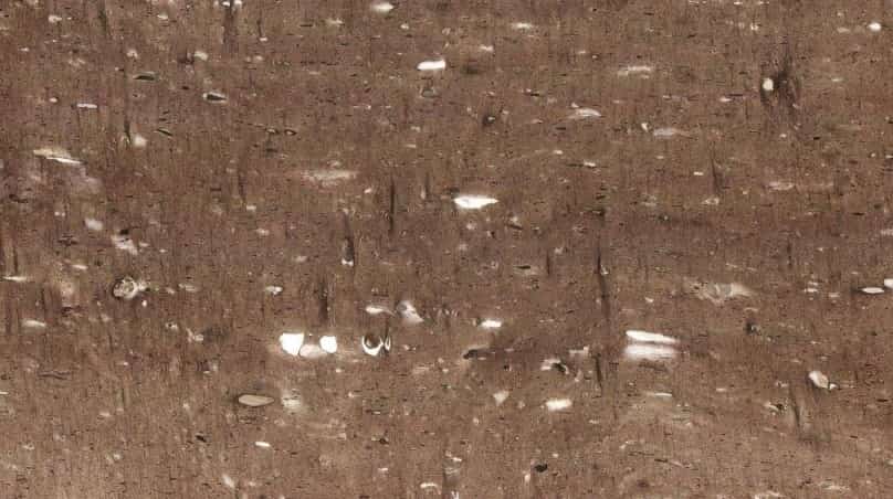 Saint Cloud slab at Aracruz RE