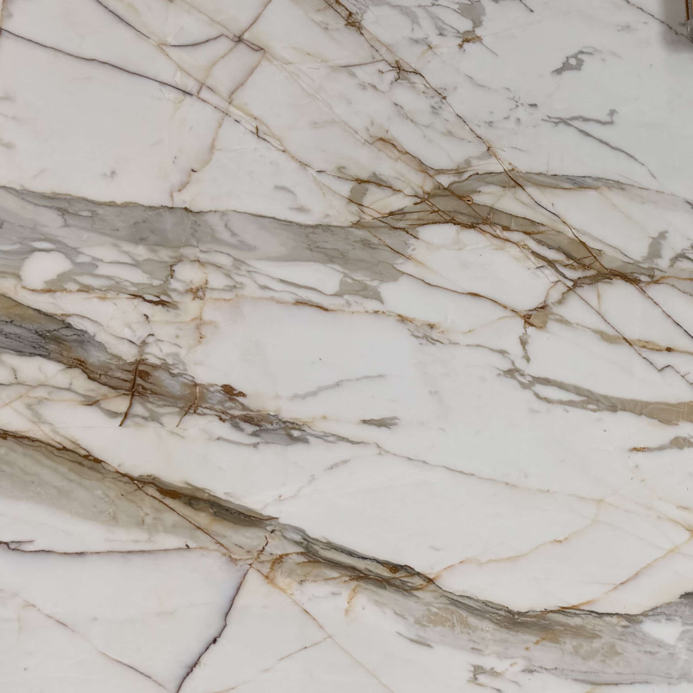 Macchia Vecchia Borghini slab at Aracruz RE