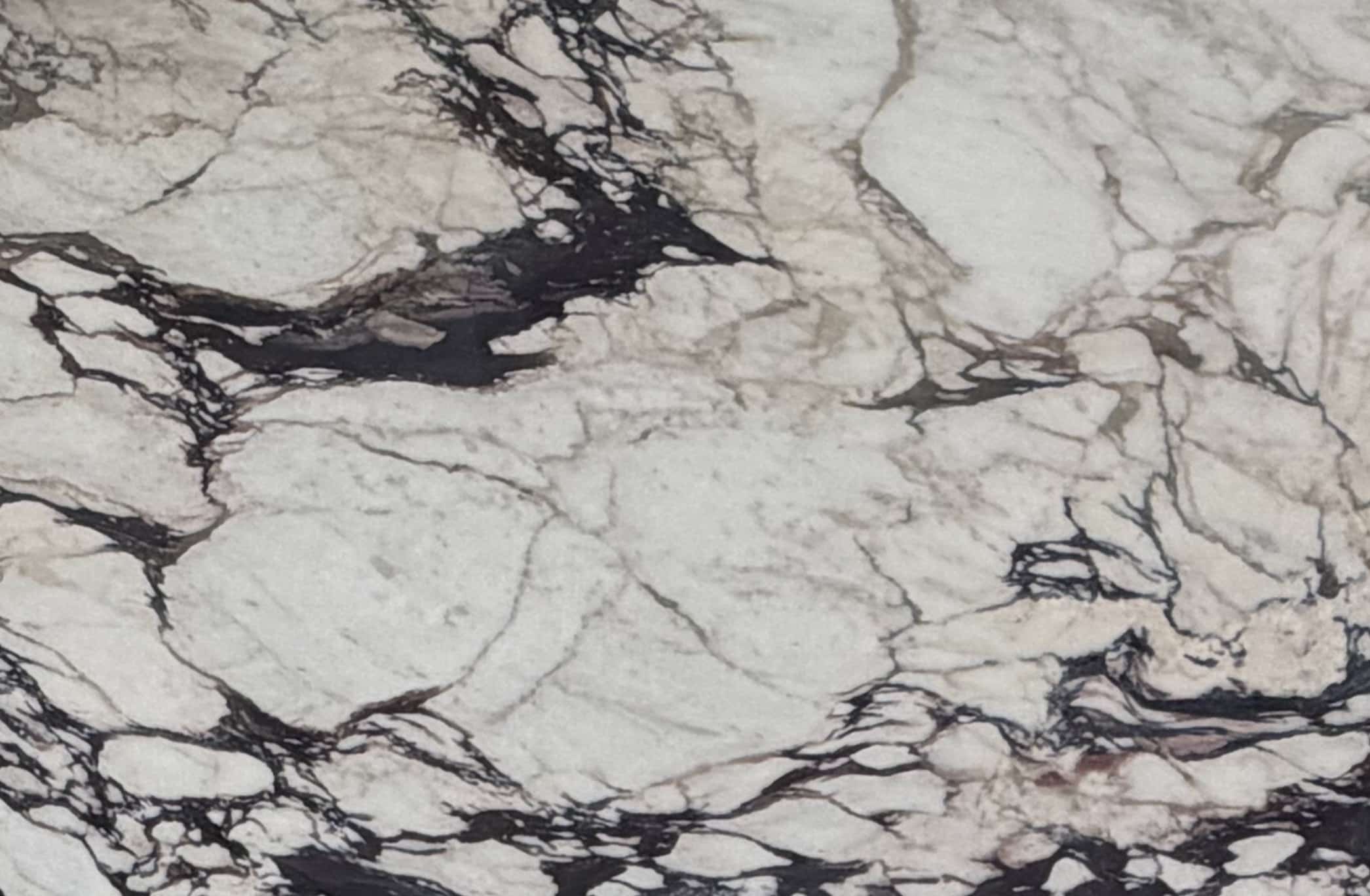 Calacatta Viola Extra Honed slab at Aracruz RE